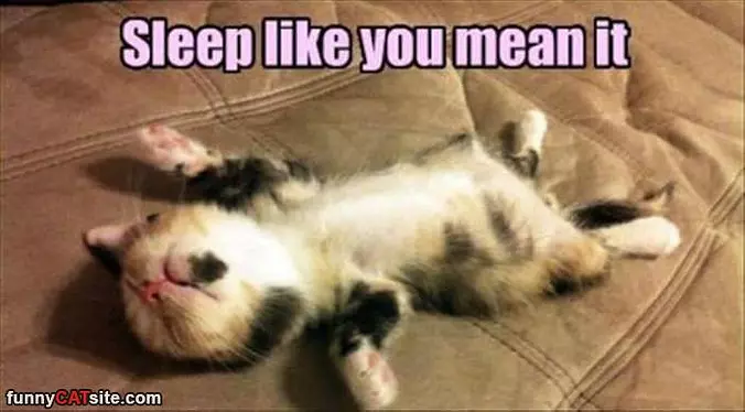 Sleep Like You Mean It