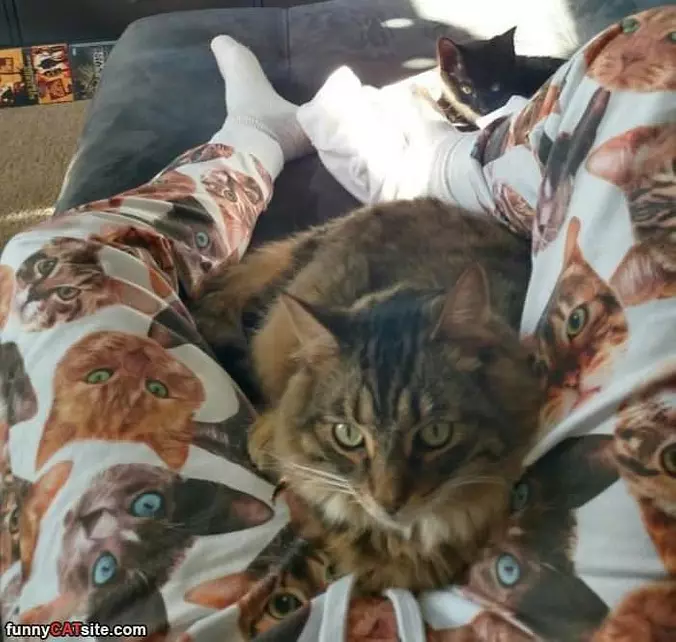 These Are Cool Pajamas