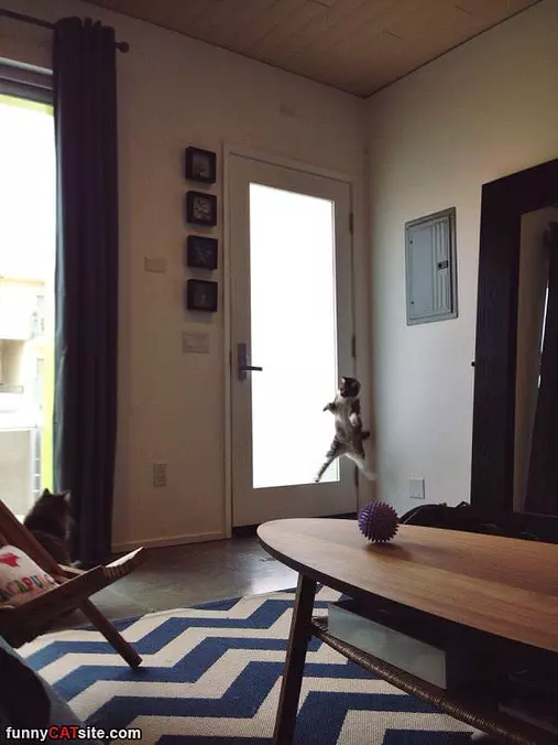 Surprise Jump Attack