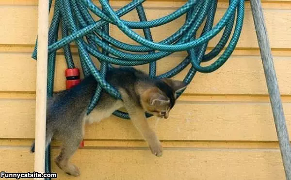 Stuck In The Hose
