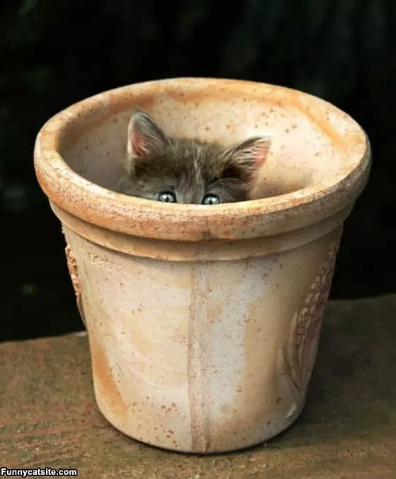 My Hiding Spot
