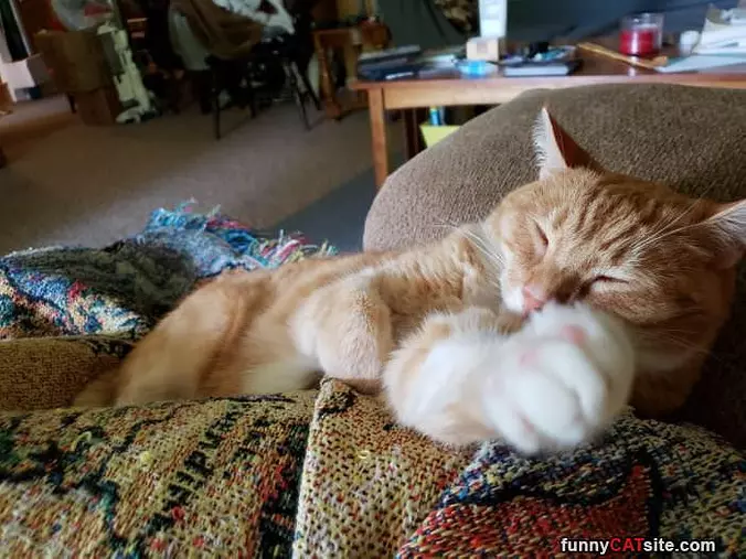 Having A Nap