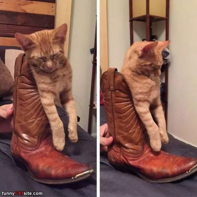 In The Boot