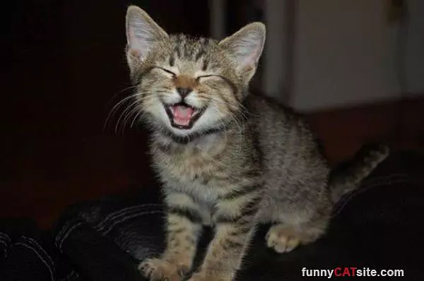 Big Smiles For The Picture