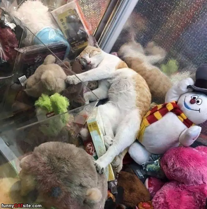 A Place To Sleep