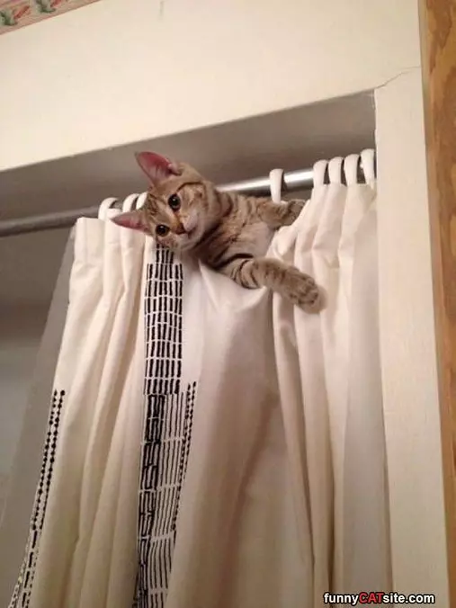 Hey Whats Up There
