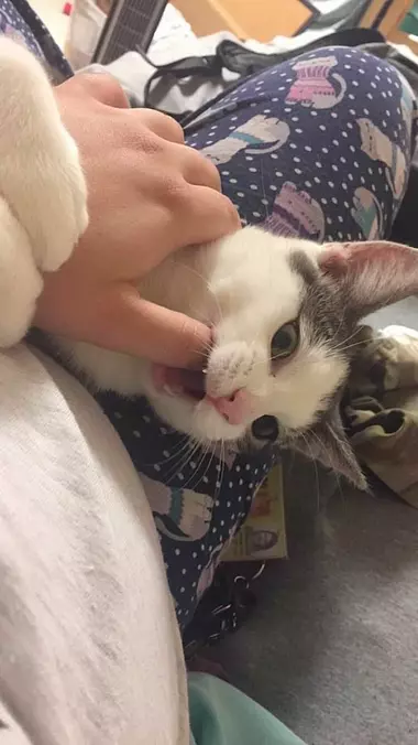 Get Your Finger Out Of My Mouth