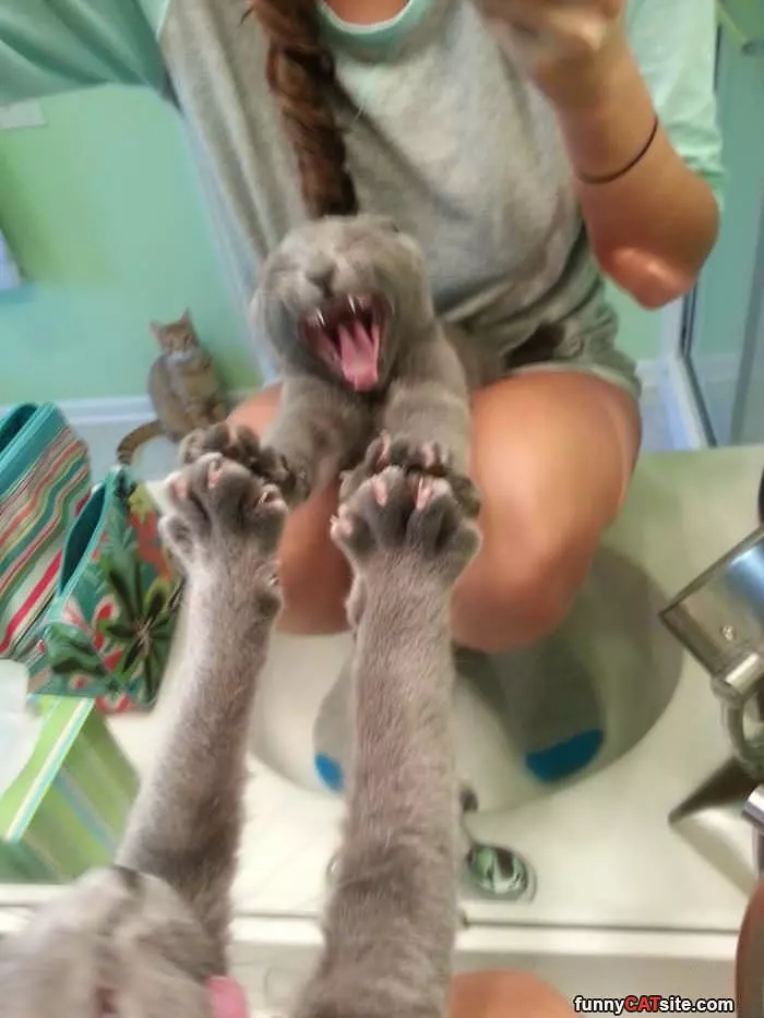 Raaaaaaaaaaawr