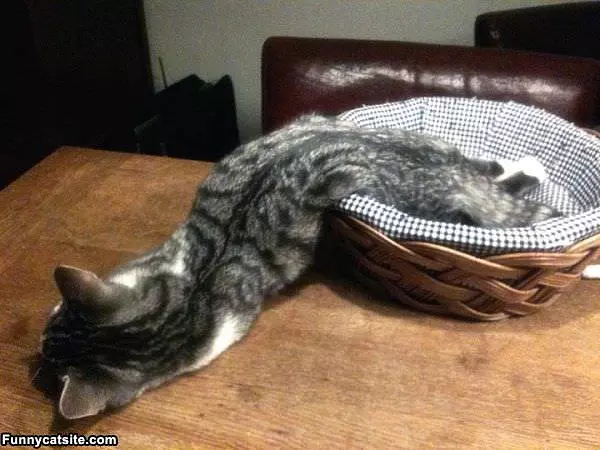Soooooo Lazy