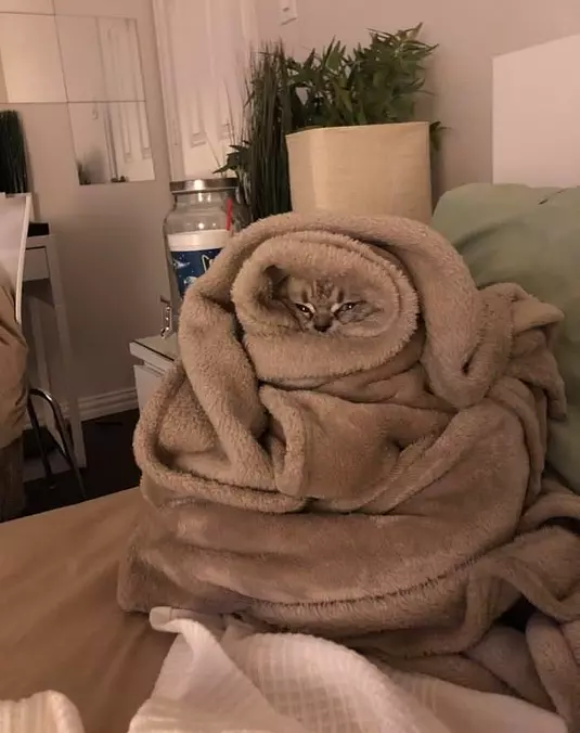So Bundled Up