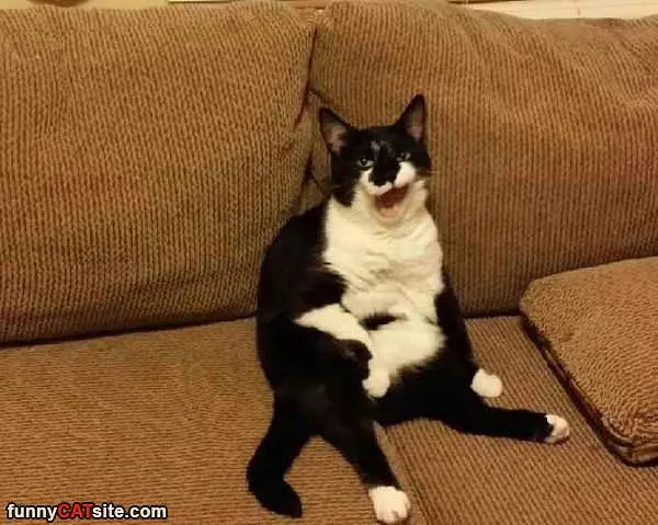 Meh