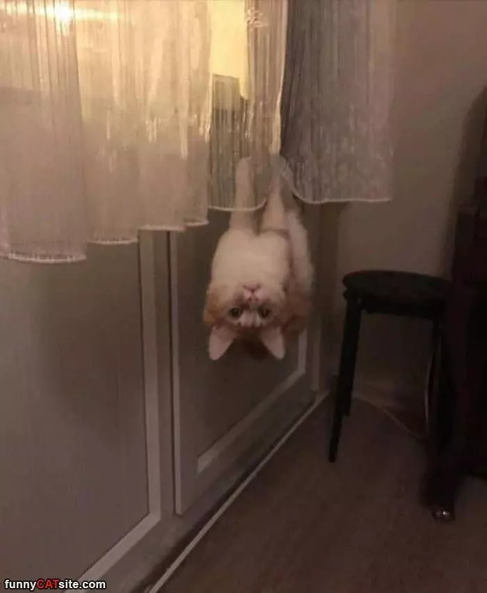 Hanging Around
