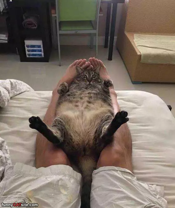 Found A Warm Spot
