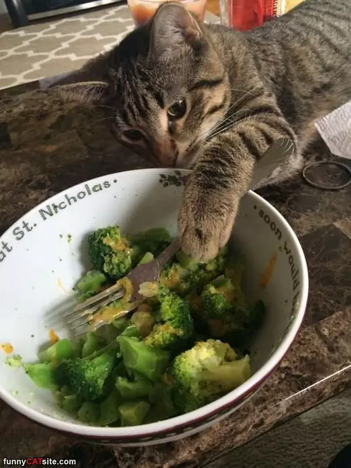 Eat Your Veggies