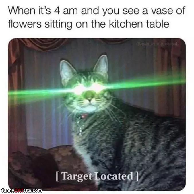 Target Located