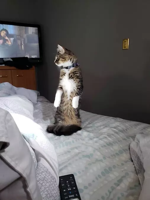 Standing Very Tall