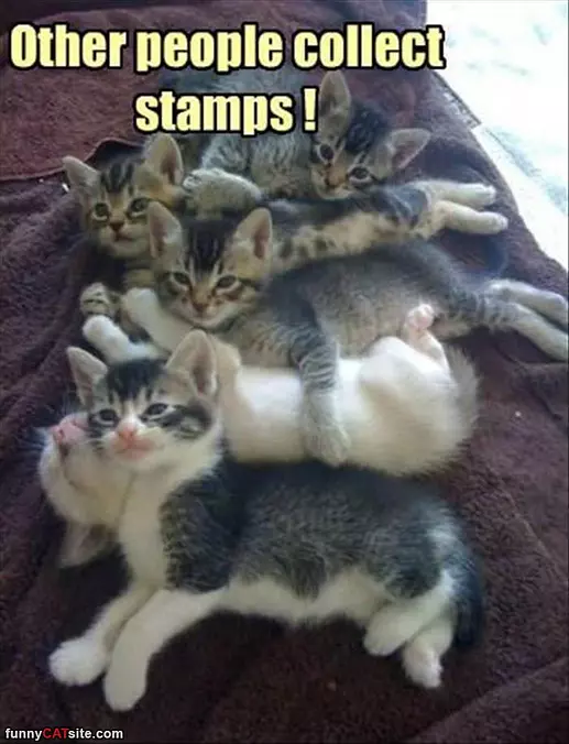 Other People Collect Stamps