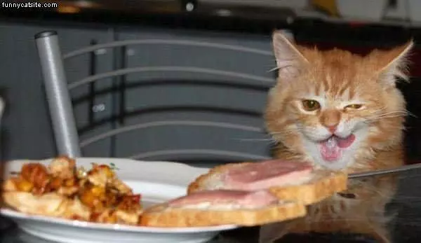 Ham