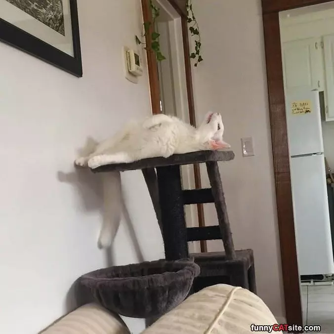 Doing My Neck Strech