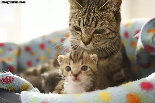 Such A Cute Little One