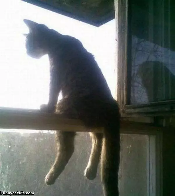 Sit Where I Want