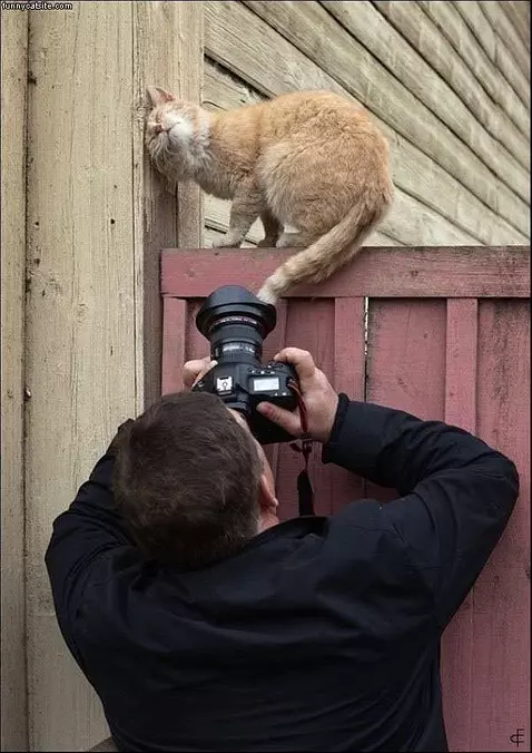 Head Rub