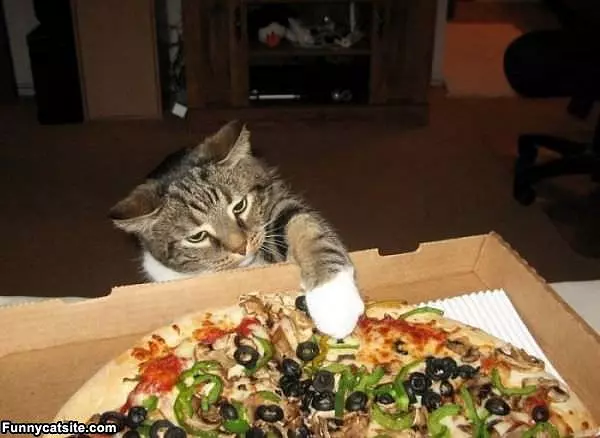 I Want Some Pizza