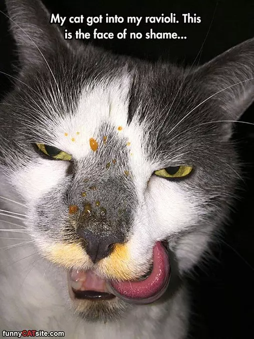 Face Of Shame