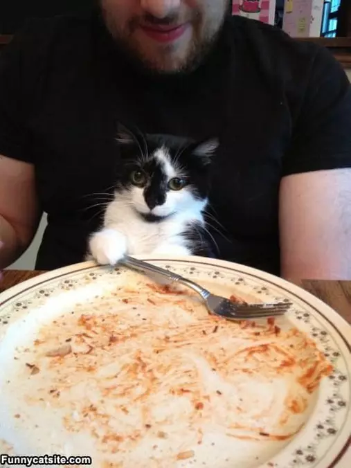 Another Plate Please