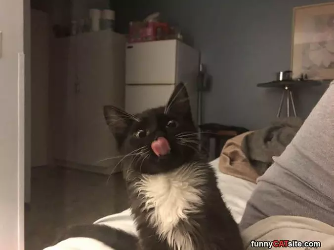 Did You Open A Snack