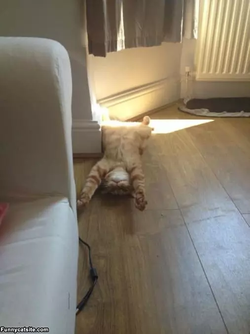So Warm Here