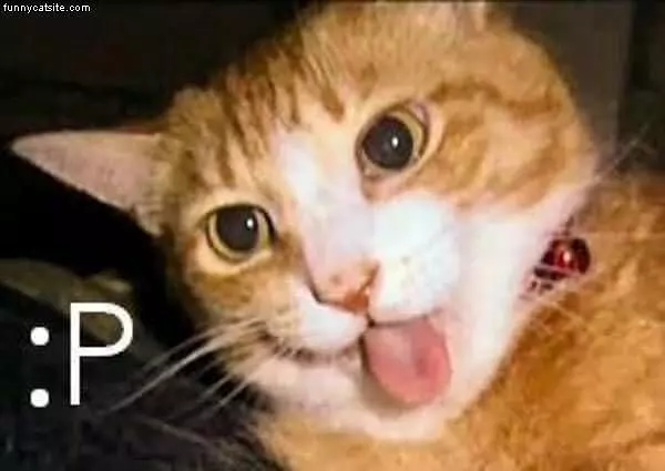 Tongue