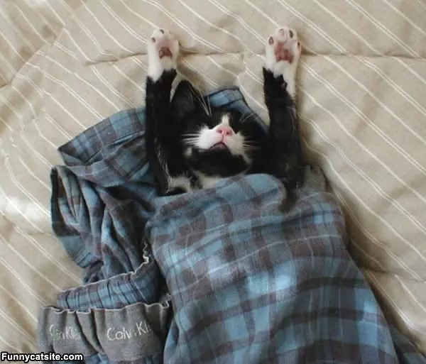 Sleeping In Today