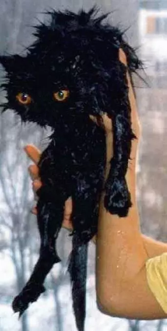 I Hates Water