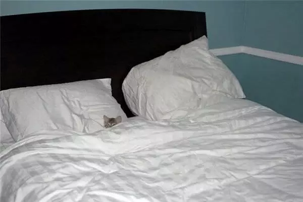 Beds Too Small