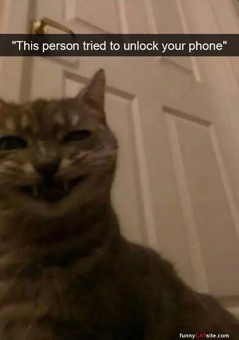 Unlocked Your Phone