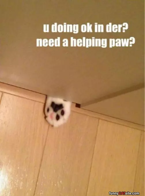Do You Need Help