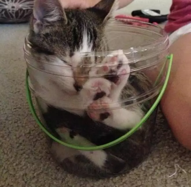 Holding This Bucket