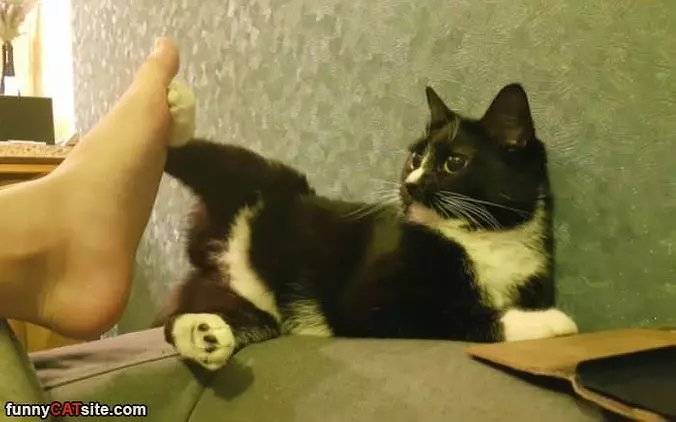 Feet Off