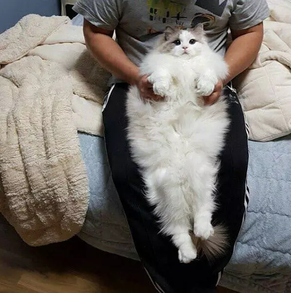 I Have Seen Things