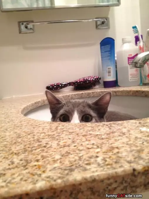 Hiding In Here