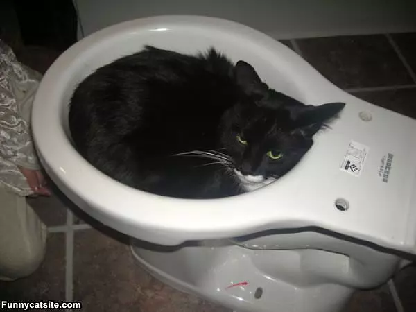 This Is A Nice Bed
