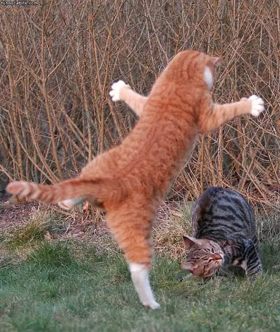 Jump Attack