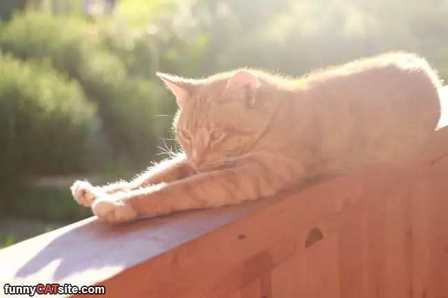 Super Stretch