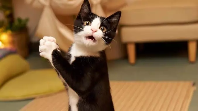 Do You Have A Snack