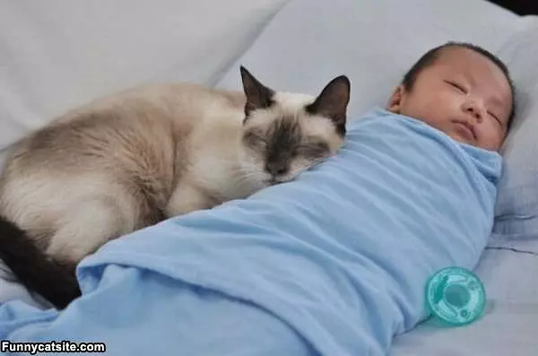 We Are So Sleepy