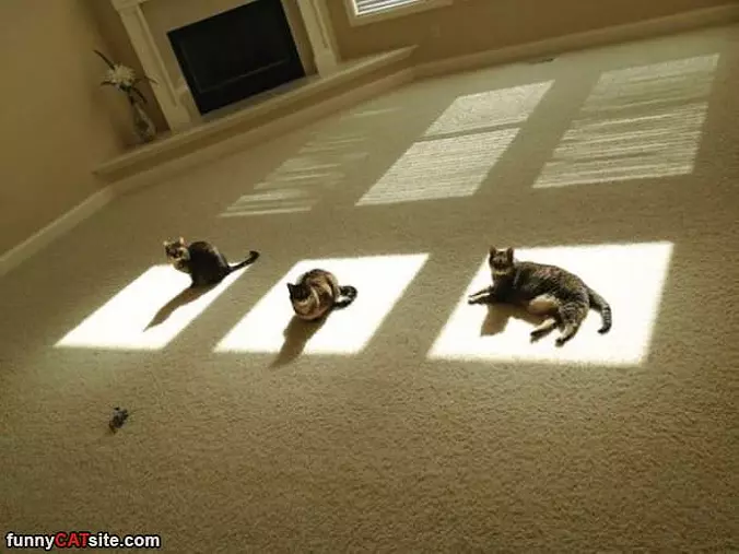 Found The Warm Spots