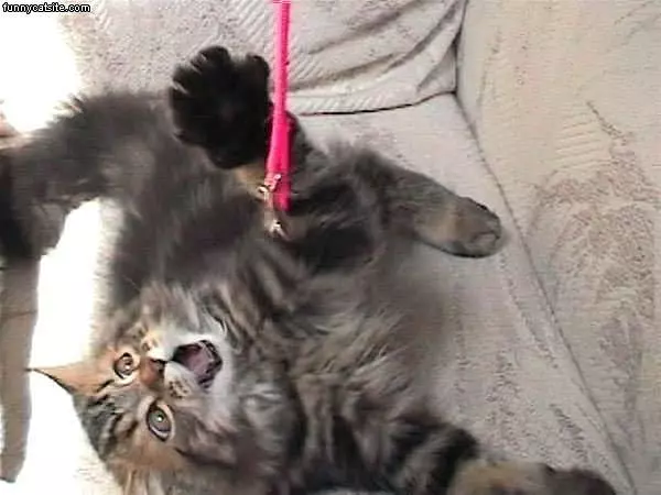 String Attack