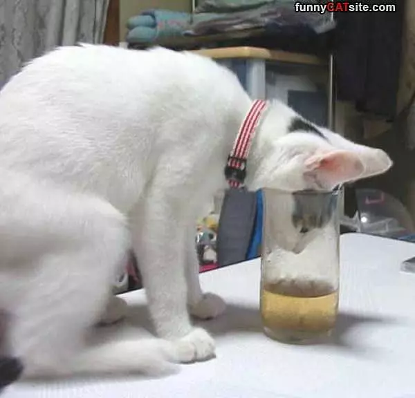 I Dont Fit