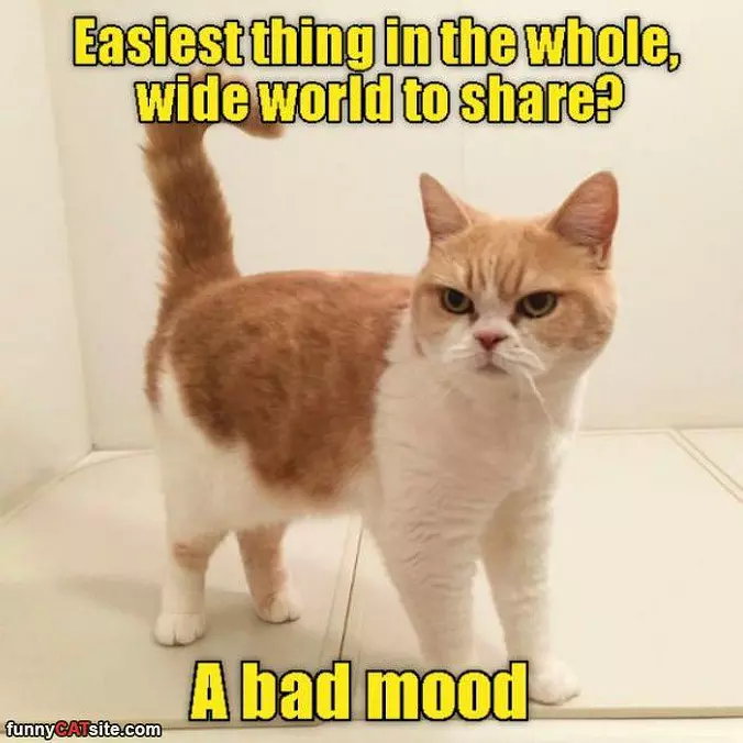 A Bad Mood